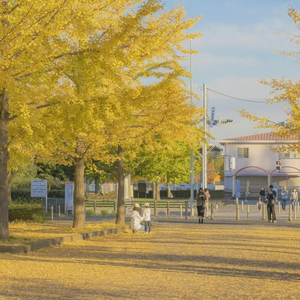 国产精品无码在线
