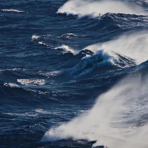 国产精品无码在线
